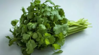 garnishing-instructions-image